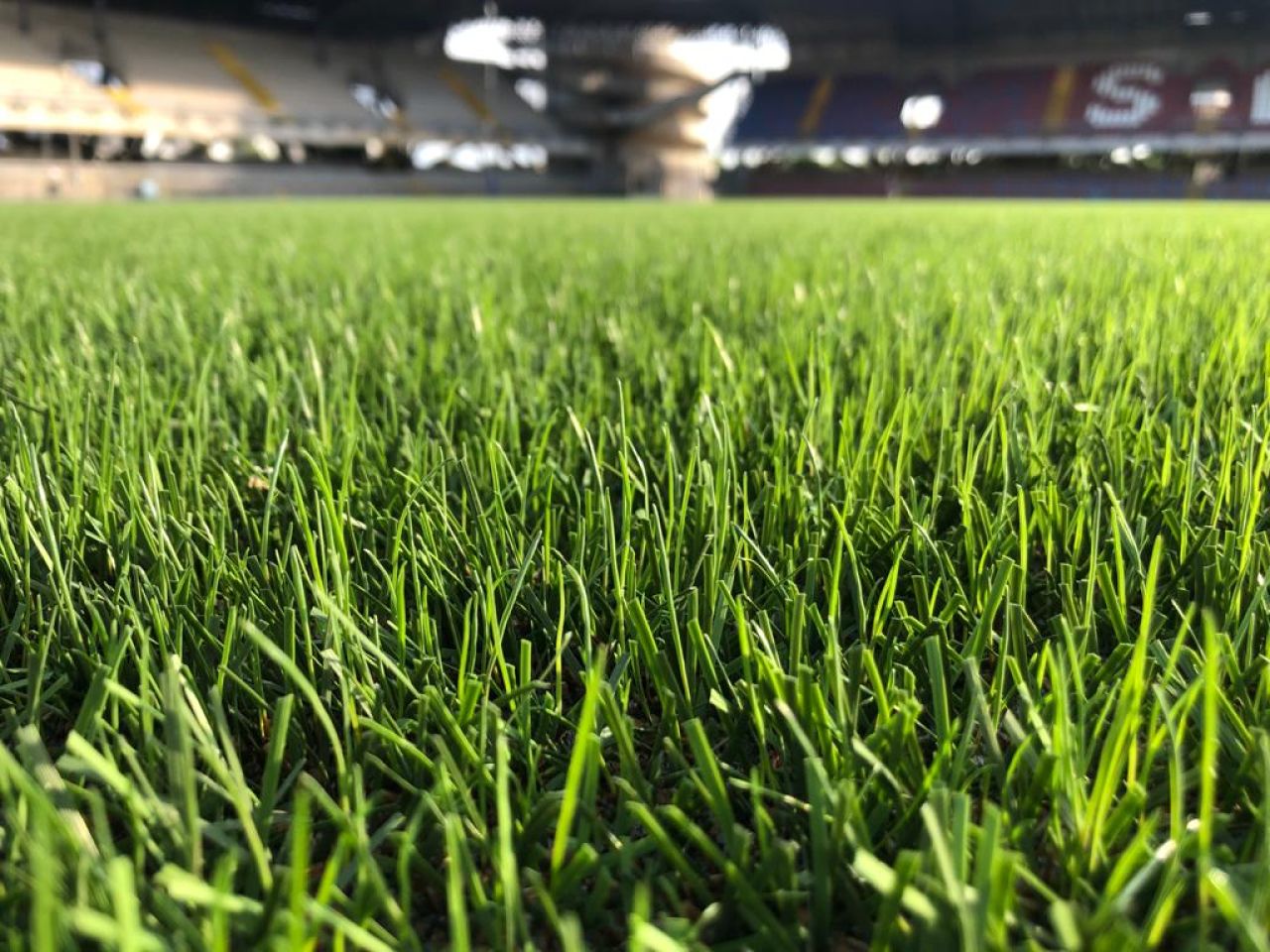 Powergrass sistema di erba sintetica unica