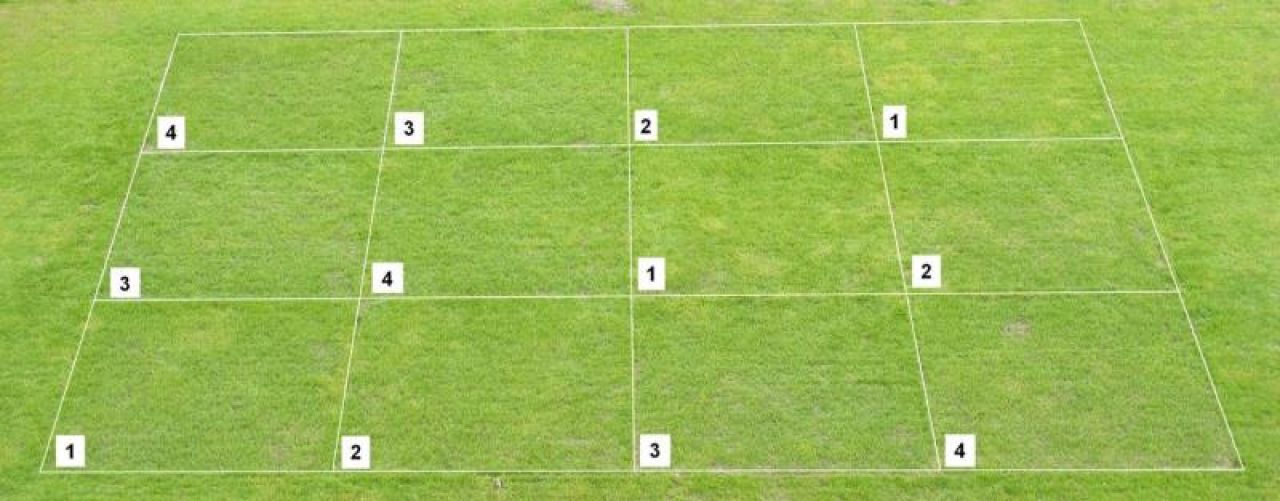 powergrassAaa_Test_1166-IT1_1