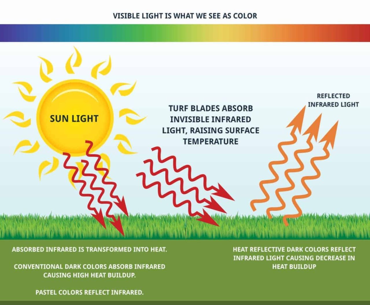 visible-light-graphic-1200x9891