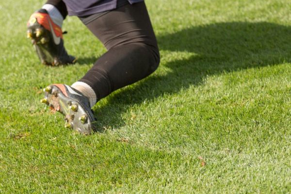 Campo di calcio e rugby