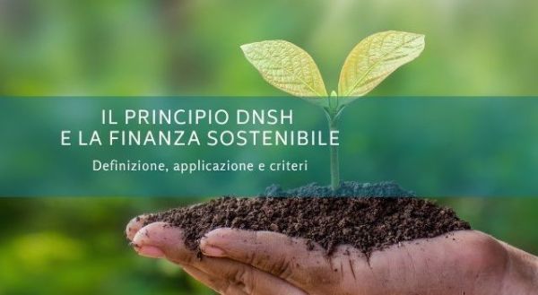Il principio DNSH