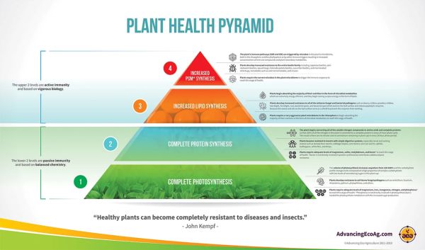 La piramide per la salute delle piante