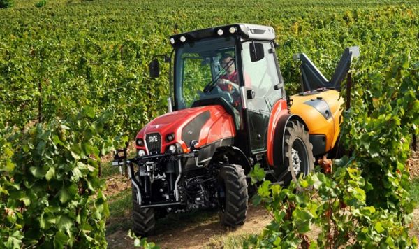 Concimare il fogliame per il verde
