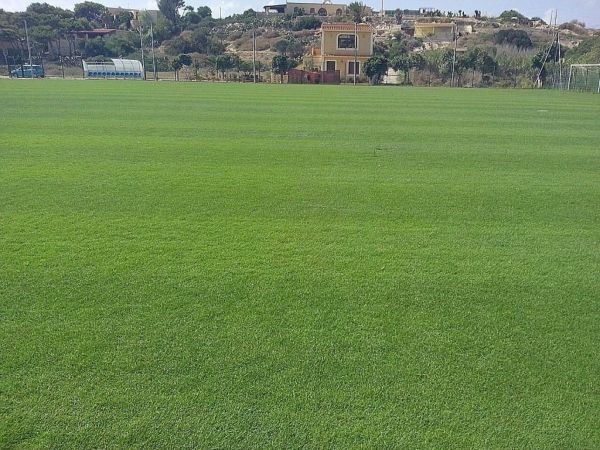 Stadio