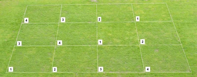 Test POWERgrass in Germania