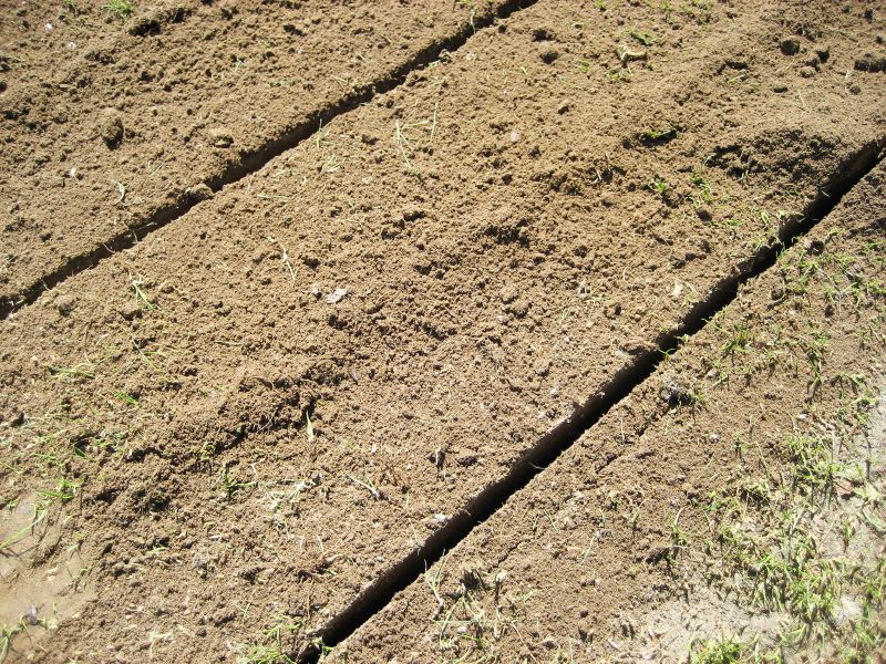 Microtrincee nel terreno