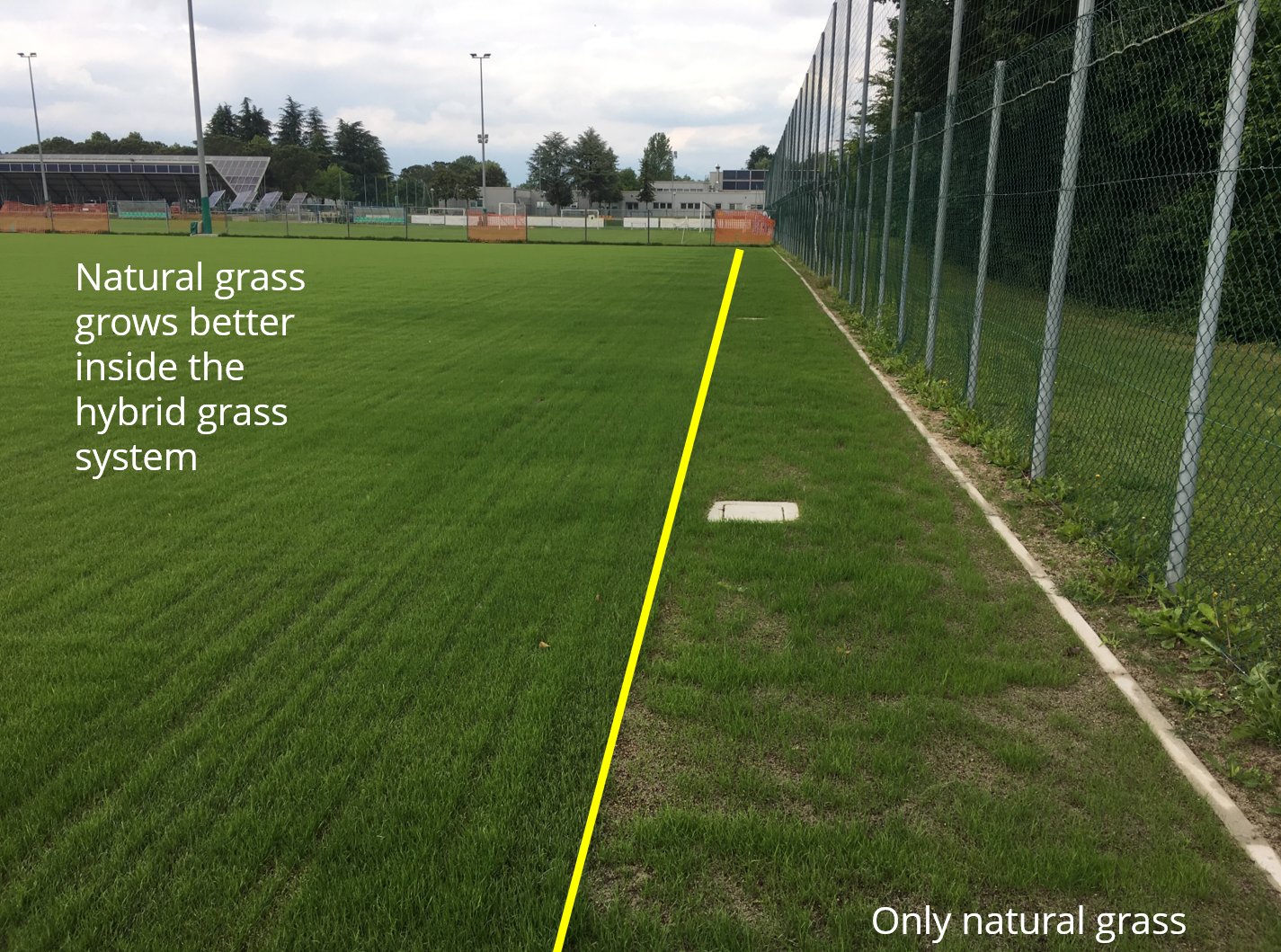 Hybrid Woven Artificial Grass Lawn for Football Soccer Field