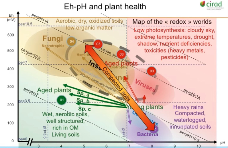 L'impatto dell'eH e pH sulla biologia nel suolo